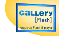 gallery [flash version]